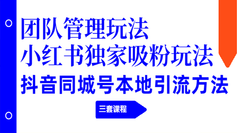 团队管理玩法+小红书独家吸粉玩法+抖音同城号本地引流方法（三套课程）-56课堂