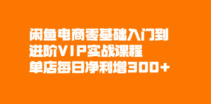 闲鱼电商零基础入门到进阶VIP实战课程，单店每日净利增300+-56课堂