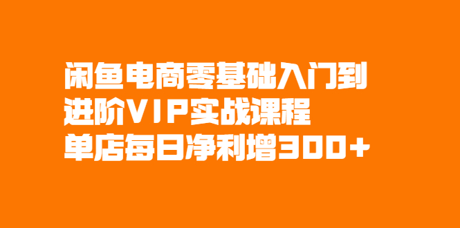 闲鱼电商零基础入门到进阶VIP实战课程，单店每日净利增300+-56课堂