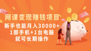 网课变现赚钱项目:新手也能月入30000+1部手机+1台电脑就可长期操作-56课堂