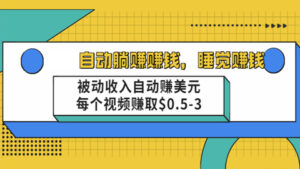 自动躺赚赚钱,睡觉赚钱,被动收入自动赚美元,每个视频赚取$0.5-3-56课堂