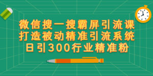 微信搜一搜霸屏引流课,打造被动精准引流系统 日引300行业精准粉【无水印】-56课堂