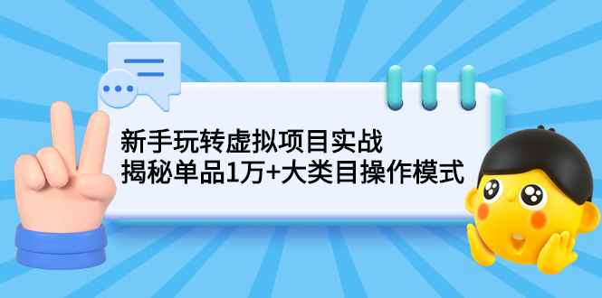 新手玩转虚拟项目实战，揭秘单品1万+大类目操作模式【视频课程】-56课堂