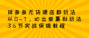 拼多多无货源店群:从0~1,必出单10单利润1000+暴利玩法,36节实战保姆教程-56课堂
