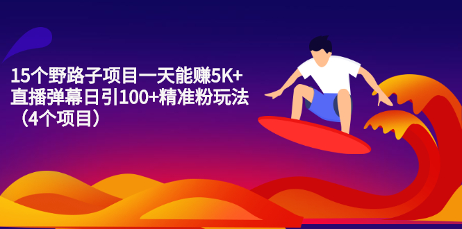 15个野路子项目一天能赚5K+直播弹幕日引100+精准粉玩法（4个项目）-56课堂