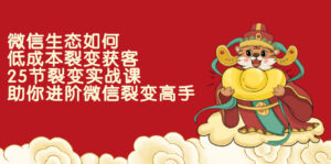 微信生态如何低成本裂变获客:25节裂变实战课,助你进阶微信裂变高手-56课堂
