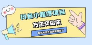 抖音小程序项目,方法交给你,按照方法去做就能赚钱了-56课堂