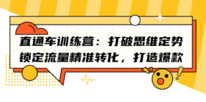 直通车训练营:打破思维定势,锁定流量精准转化,打造爆款-56课堂