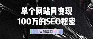 单个网站月变现100万的SEO秘密:如何百分百做出赚钱站点-56课堂