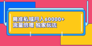 精准私域月入60000+ 流量倍增 独家玩法（9节视频课）-56课堂