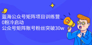 蓝海公众号矩阵项目训练营,0粉冷启动,公众号矩阵账号粉丝突破30w-56课堂