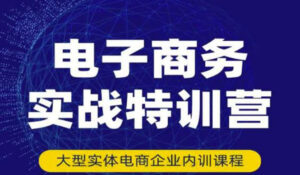 电子商务实战特训营，全方位带你入门电商，308种方式玩转电商-56课堂