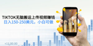 TIKTOK无脑搬运上传视频赚钱,日入150-250美元,小白可做(2节视频课)-56课堂