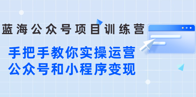 蓝海公众号项目训练营，手把手教你实操运营公众号和小程序变现-56课堂