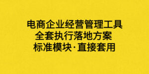 外面卖198·电商企业经营管理工具：全套执行落地方案 标准模块·直接套用-56课堂