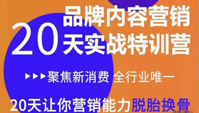 《内容营销实操特训营》20天让你营销能力脱胎换骨（价值3999）-56课堂