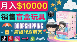 Dropshipping+ Shopify推广玩具盲盒赚钱:每单利润率30%, 月赚1万美元以上-56课堂
