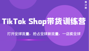 TikTok Shop带货训练营,打开全球流量,抢占全球新流量 一店卖全球(第14期)-56课堂