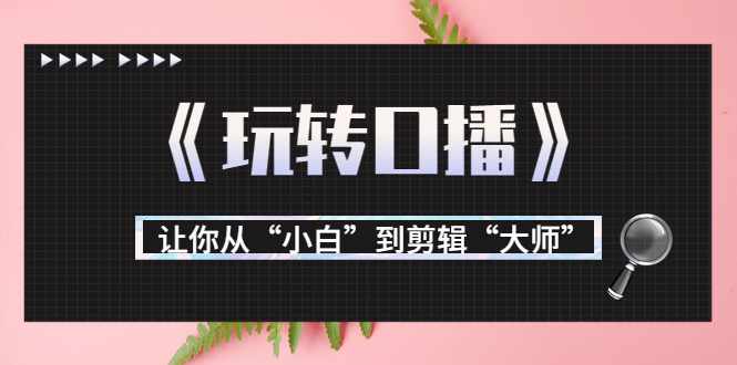 月营业额700万+大佬教您《玩转口播》让你从“小白”到剪辑“大师”-56课堂