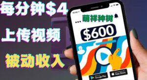 只需要上传视频然后每分钟赚4美元项目:详细操作步骤,新手也可操作-56课堂