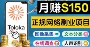 正规网络副业赚钱平台Toloka，利用业余时间月赚150美元-56课堂
