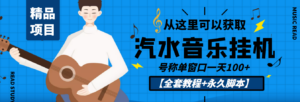 外面收费1500的汽水音乐人挂机项目,号称单窗口一天100+【教程+永久脚本】-56课堂