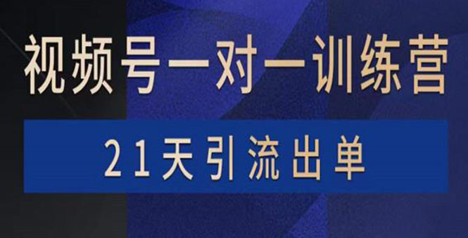 视频号训练营：带货，涨粉，直播，游戏，四大变现新方向，21天引流出单-56课堂