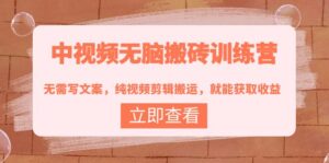 中视频无脑搬砖训练营:无需写文案,纯视频剪辑搬运,就能获取收益!-56课堂