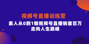 行动派·视频号直播训练营,素人从0到1做视频号直播销量百万,走向人生巅峰-56课堂