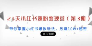 21天小红书涨粉变现营(第3期):带你掌握小红书爆款玩法,月赚10W+秘密-56课堂