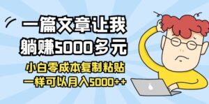 一篇文章让我躺赚5000多元,小白零成本复制粘贴一样可以月入5000++-56课堂