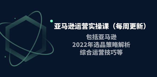 亚马逊运营实操课（每周更新）包括亚马逊2022选品策略解析，综合运营技巧等-56课堂