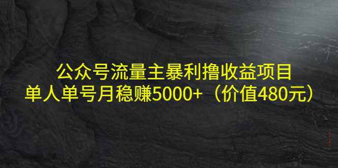 公众号流量主暴利撸收益项目，单人单号月稳赚5000+（价值480元）-56课堂