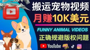 搬运TIKTOK视频到YouTube,并进行二次创作,月赚1万美元以上-56课堂