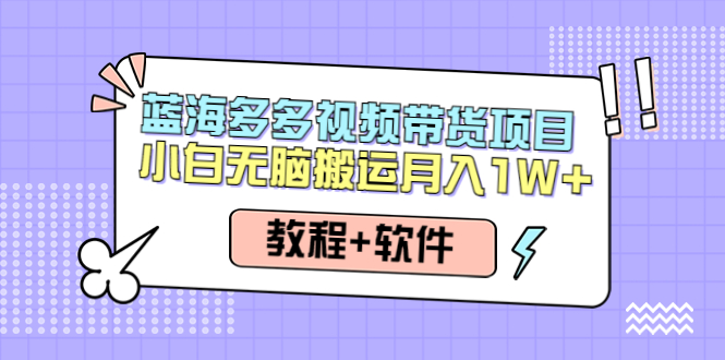 人人都能操作的蓝海多多视频带货项目 小白无脑搬运月入10000+（教程+软件）-56课堂