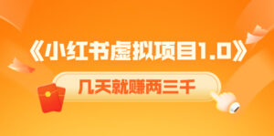 《小红书虚拟项目1.0》账号注册+养号+视频制作+引流+变现,几天就赚两三千-56课堂