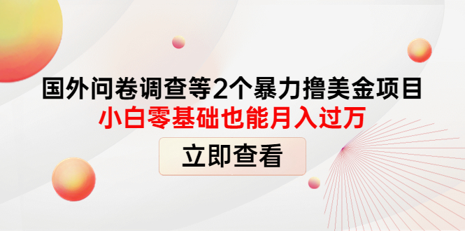 国外问卷调查等2个暴力撸美金项目，小白零基础也能月入过万-56课堂