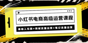 小红书电商高级运营课程:基础入驻篇+商城流量运营+笔记流量运营-56课堂