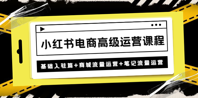 小红书电商高级运营课程：基础入驻篇+商城流量运营+笔记流量运营-56课堂