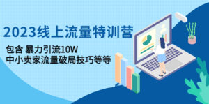 2023线上流量特训营:包含暴力引流10W+中小卖家流量破局技巧等等-56课堂