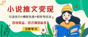 小说推文训练营:引流技巧+爆款实操+矩阵号玩法,百倍效益、百万播放秘笈-56课堂