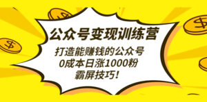 公众号变现训练营(第3期)打造能赚钱的公众号,0成本日涨1000粉,霸屏技巧-56课堂