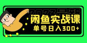 花599买的闲鱼项目：2023最新闲鱼实战课，单号日入300+（7节课）-56课堂
