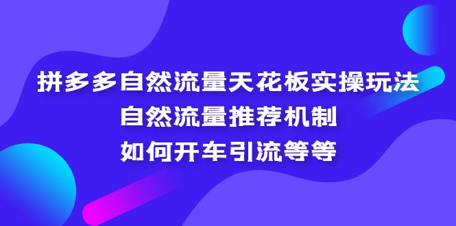 拼多多自然流量天花板实操玩法：自然流量推荐机制，如何开车引流等等-56课堂