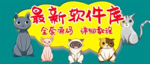最新软件库完整源码+详细教程 多种变现模式【价值188元-非市面泛滥】-56课堂