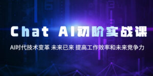 Chat AI初阶实战课，AI时代技术变革 未来已来 提高工作效率和未来竞争力-56课堂