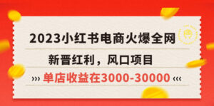 2023小红书电商火爆全网，新晋红利，风口项目，单店收益在3000-30000！-56课堂