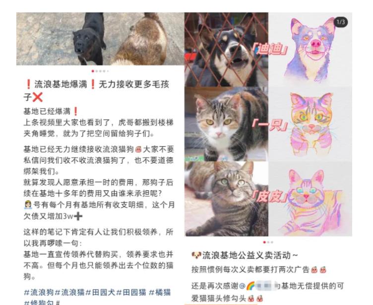 图片[2]-小红书蓝海类赛道：小动物打赏与购买变现副业项目，一条龙玩法分享给你！-56课堂