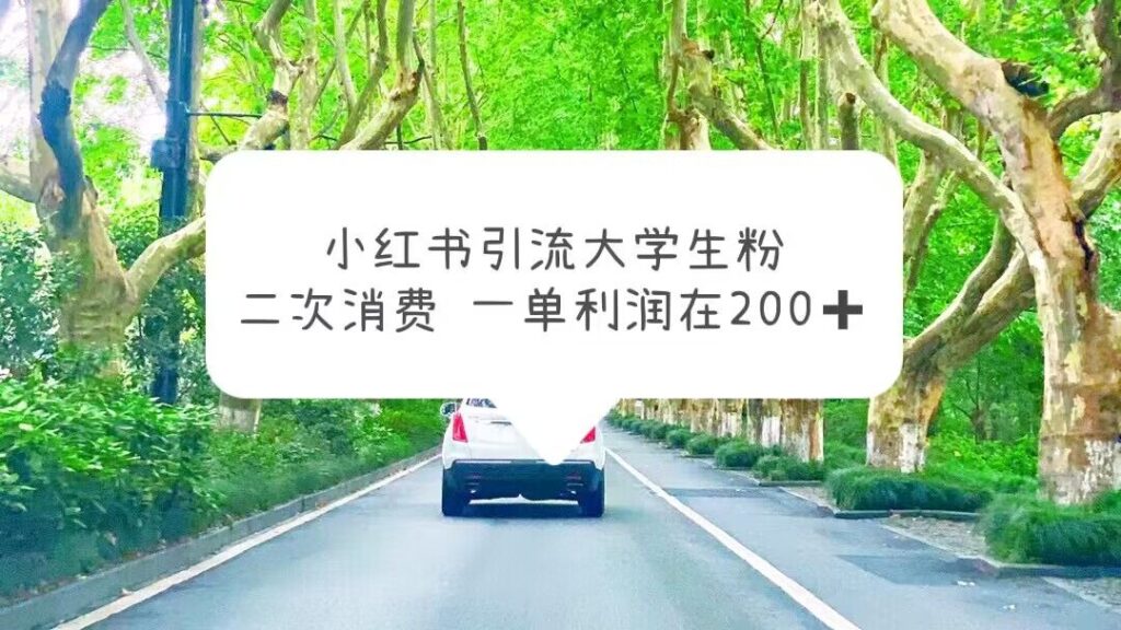 小红书引流大学生粉，变现项目，一单利润在200+（教程+资源）-忙忙软件库