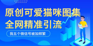 黑科技纯原创可爱猫咪图片,全网精准引流,实操5个VX号被加频繁-56课堂